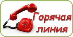 Горячая линия